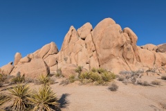 Rocks near the Live Oak spot