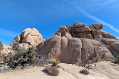 More Skull Rock trail