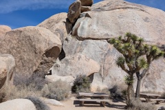 Cap Rock Trail