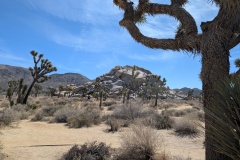 Cap Rock Trail