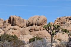 I call this Knuckle Rock