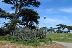 Lover's Point Park