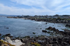 Looking back towards Lover's Point