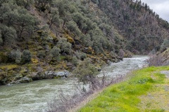 Trinity River, near Del Loma