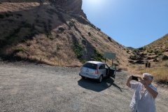 Loris and the Twin Sisters