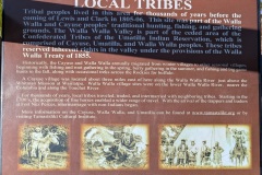 Indigenous History