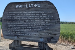 Cayuse Indians in the Walla Valley battled with Whitmans and others