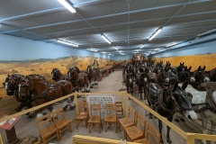 Loved these horses!