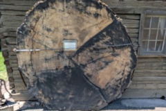 Immense round from a tree - about 8' in diameter