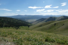 Beautiful landscape