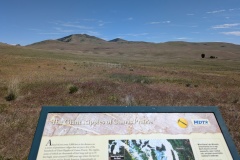 Camas Prairie Ripples - left view