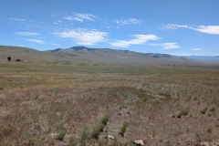 Camas Prairie Ripples - right view