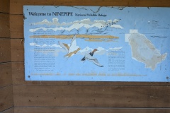Ninepipes National Wildlife Refuge