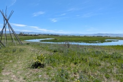 Meandering River