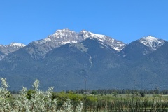 Mission Mountains to the east