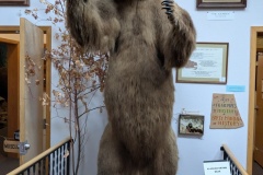 Inside the Visitor's Center