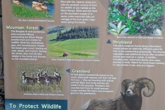 Varieties of Wildlife