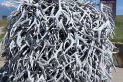 This was near the entrance - how many antlers does it take ...