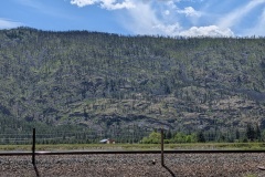 This looks like volcanic rock to me