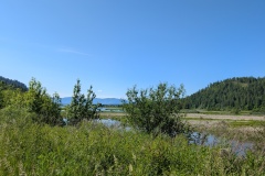 The mouth of the Clark Fork River entering Lake Pend Oreille