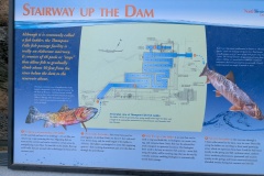 Stairway for the Fish