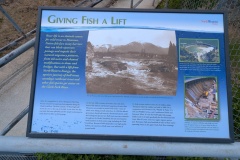 Fish Ladder built in 2009
