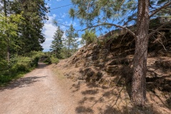Another large rock by the trail