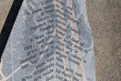 Poem - only God can make a tree