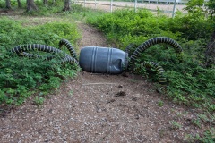 BIG spider