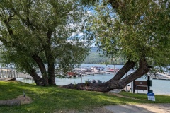 Willow Bay Marina on the Pend Oreille River that flows from the NW corner of the lake