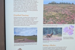 Grasslands