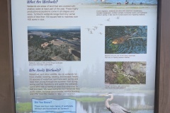 Wetlands