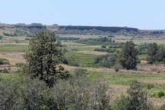 Wide Valley with vertical rock walls