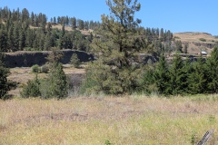You can see house and farm fence