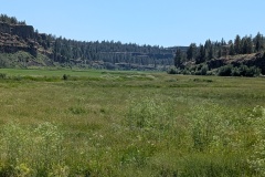 Marshy valley with rock walls