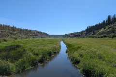 Valley looking north