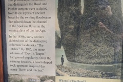 Original photo of the Pitcher (sorry about my reflection)