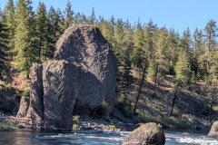 The Pitcher (see this in pic #2, 100+ years earlier)