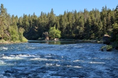 Looking up-river