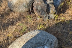 Granite rocks, dropped by glaciers