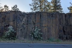 Huge basalt columns
