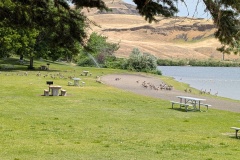 It was just us and the Canadian geese