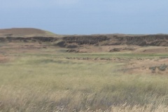 Closer view