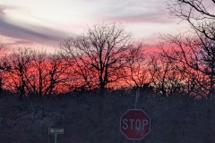 The setting sun for the day