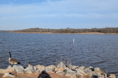 I feel like I'm standing in the middle of the lake