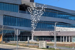 Norman OK, Library