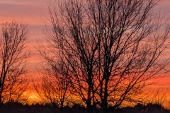 Sun almost set