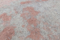 Red dirt and dry grass