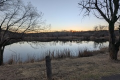 Beaver Lake