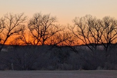 Last of the setting sun